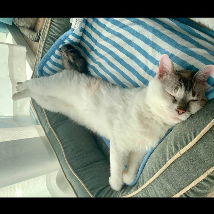 3934f857 7728 4ec0 aa6e 89a198a75f16 1664691853533