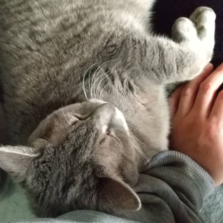 39350f66 5530 4954 bfc7 9aeb3e25814e 1637628845229