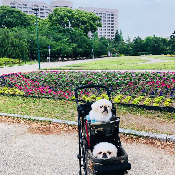 39352a30 14e9 4244 8cf4 ec174693e42d 1559876750976