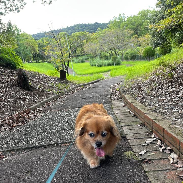 39354e3c 275b 4562 bb62 df9a5cdda86a 1758585193133