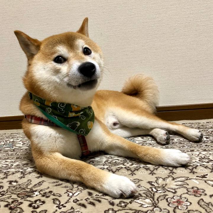 393564c8 992e 4443 86f2 3b99cc39da29 1532766868617