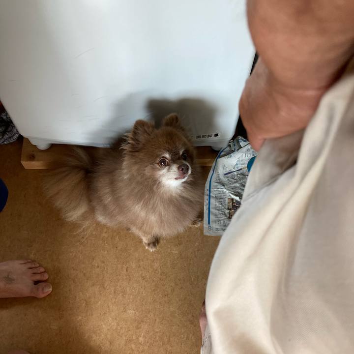 39358a1a 7f8a 4286 9440 e169f60b19d9 1659835046893