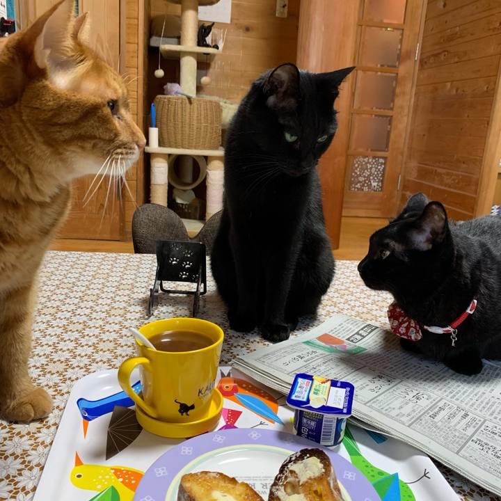 3935900d 24c4 44b9 98e2 4ef58158bc8e 1624497696960