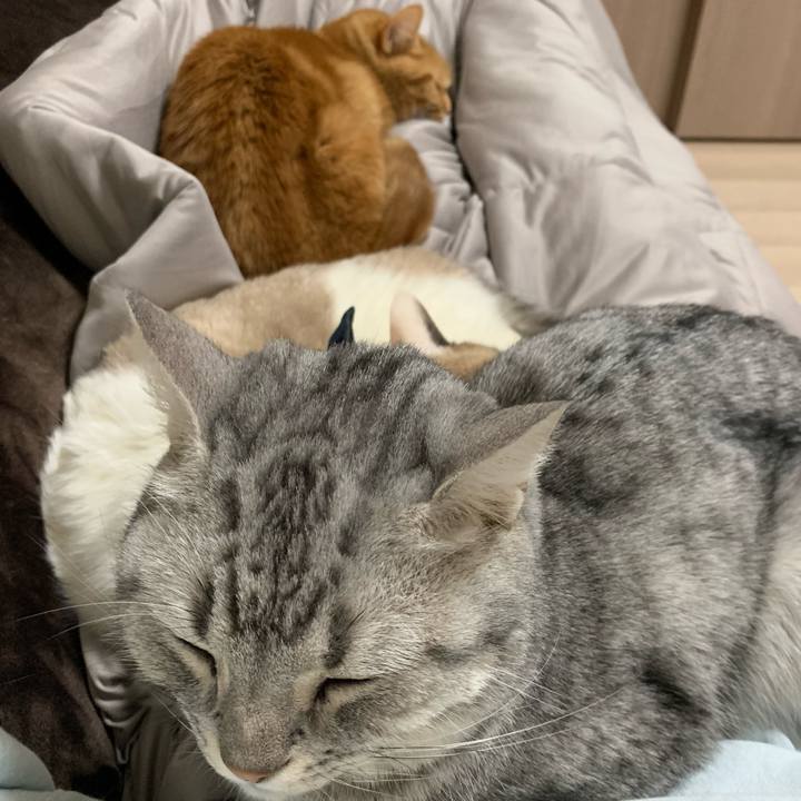 3935ae38 1562 4860 bb1d b65f53bda830 1584169168208