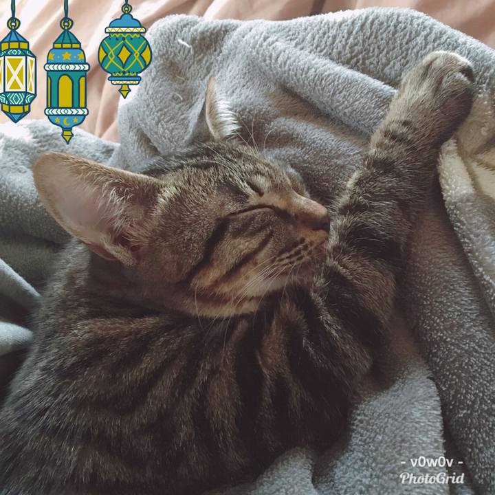 3935bf7f 14fe 4b53 bc84 a9dbf4f00df1 1543800297357