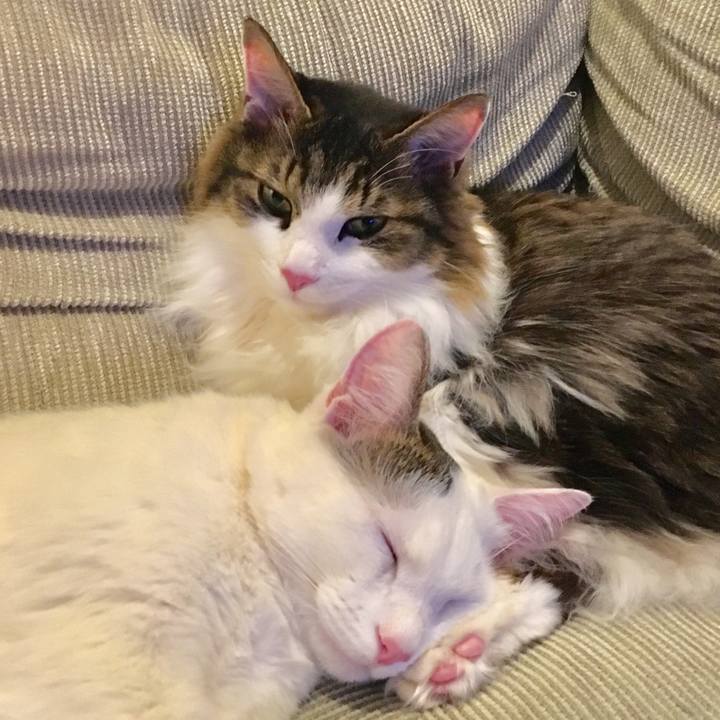 3935c2f1 0bd9 42d1 b69b d5f09de1fb06 1521647611351