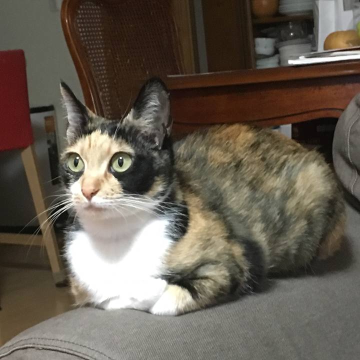 3935d6aa 5350 40f6 8862 bd9ed063479d 1507888477576