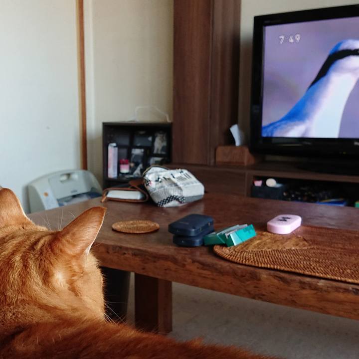 3936048c 363a 4337 b7af b6672741372a 1569719164831