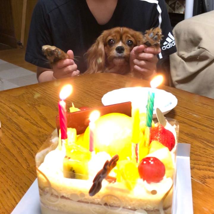 39363f12 a166 4c60 b71a 03e6d68a3d67 1596279942095