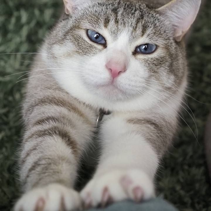 393644e5 a32f 4710 bbaf 1ec2f3917da5 1619699997491