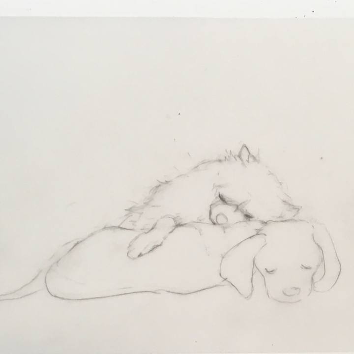 39368a51 8996 4839 a97e c80cc60aa5e4 1591927350388