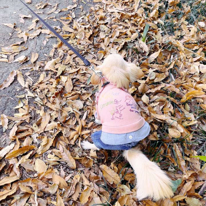 39369b3f 3561 4fae 9ca1 3e7b2fb78afa 1702194734423