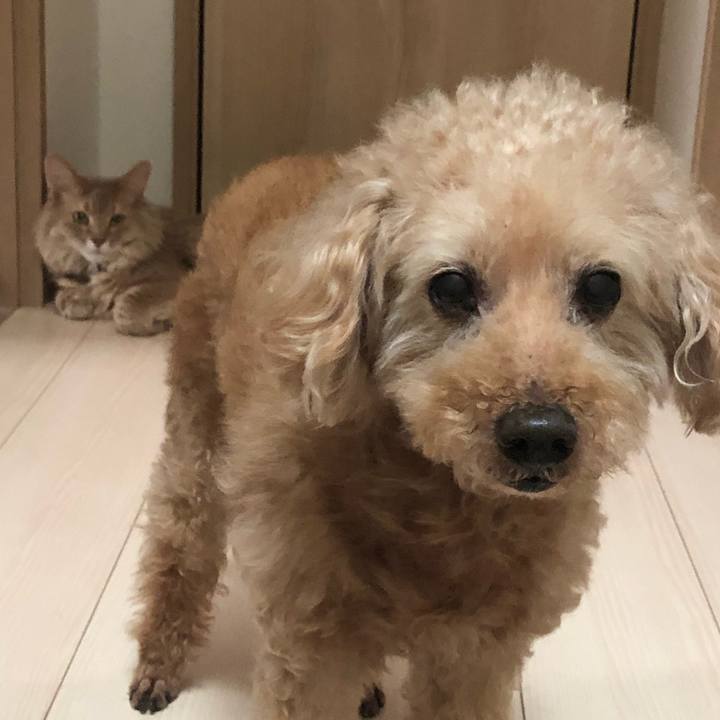 3936e373 9bbc 4e3c 8c28 e3b590d215c7 1655078457297