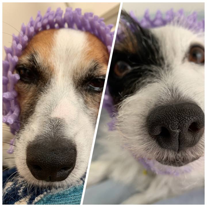 3936fcb7 6ce1 482c 9c24 1407dc9adfcb 1568337232586