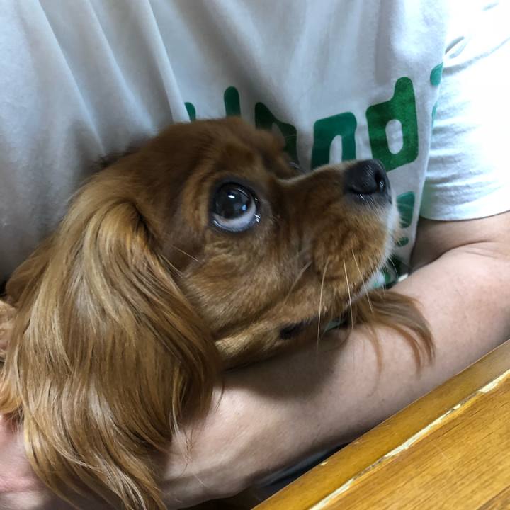 3937239c bae9 4350 89f9 dbf40e302f75 1527251745402