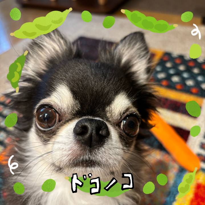 3937506d 1239 494c 95ab 5db7a4b90672 1720999318121