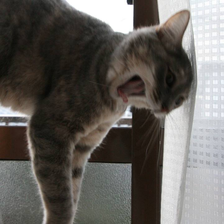 393763a3 784e 4d17 9dbb 08a1e45be9a7 1511091788123