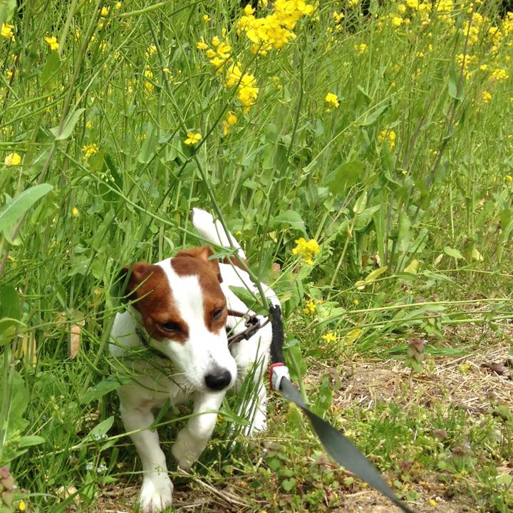 3937aff1 c3b8 41ef 8cec 04d5cd4064df 1524385942936