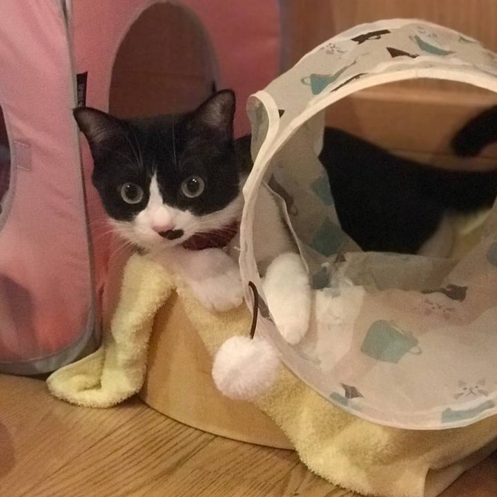 3937fbaa a761 408e b5a9 00094d1078dd 1557970389336