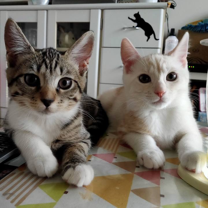 39383a06 171c 461a ad57 cbee8ff94014 1627338480558