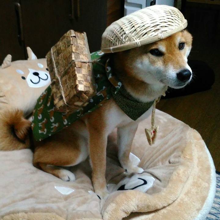 39387740 36a5 4084 a325 8a3dae3a2414 1525827842993