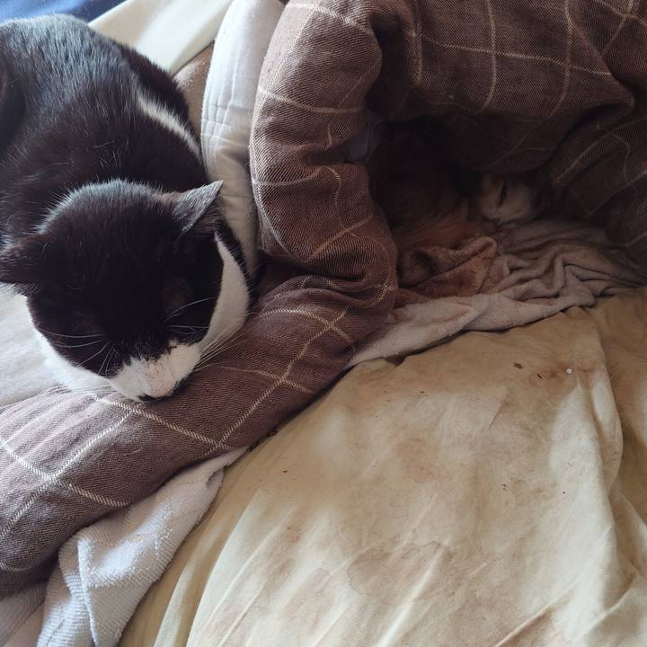 3938867a 46fa 4280 b9f2 00d397a4d9c0 1773721680558