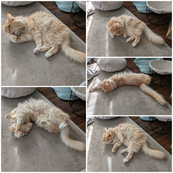 3938a5a9 f0b6 462f bfbc 54c893fc675d 1738038846496