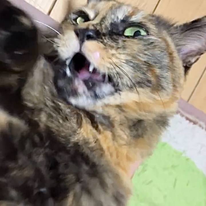 3938a98e a131 42b8 8c98 cdc9fcbe8f80 1739648016459