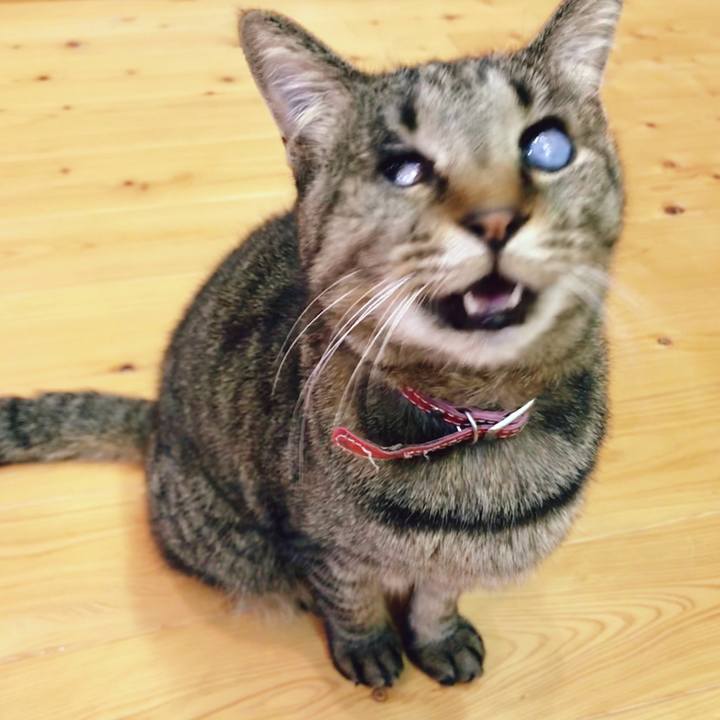 3938ea31 f569 445a b57c 6eb75a6222be 1521117659461