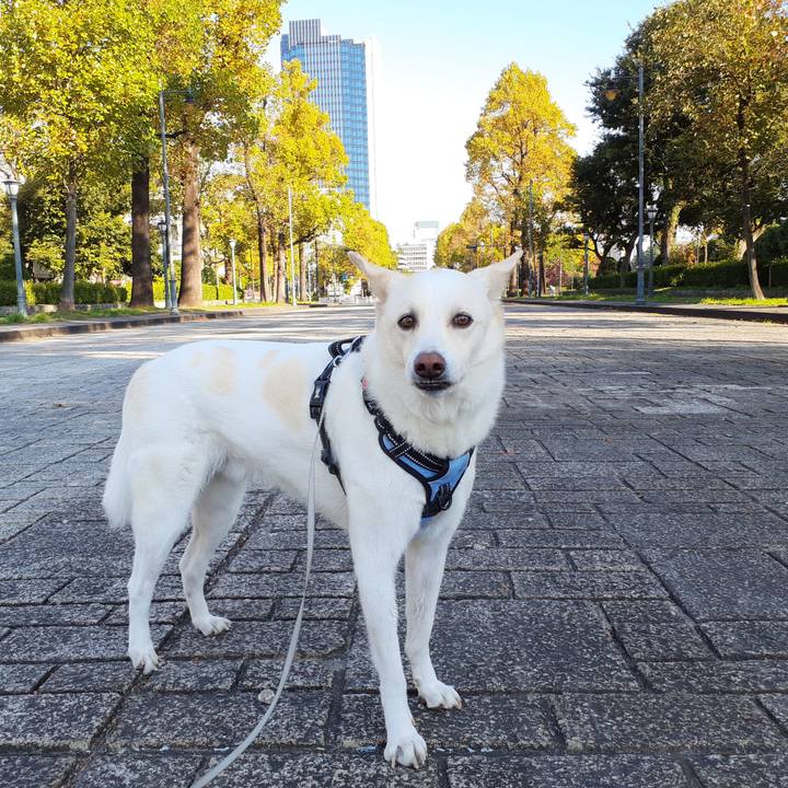 3938eb5e fd7f 4b24 b1a6 03303f646cd9 1667006546947