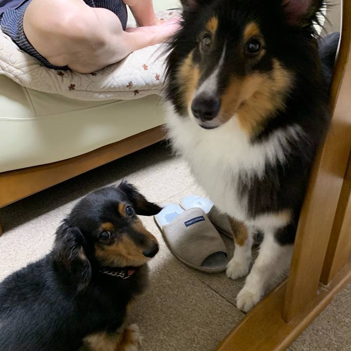 3938edfd dba3 4f99 b6fa 021a23c25ecd 1566251871127