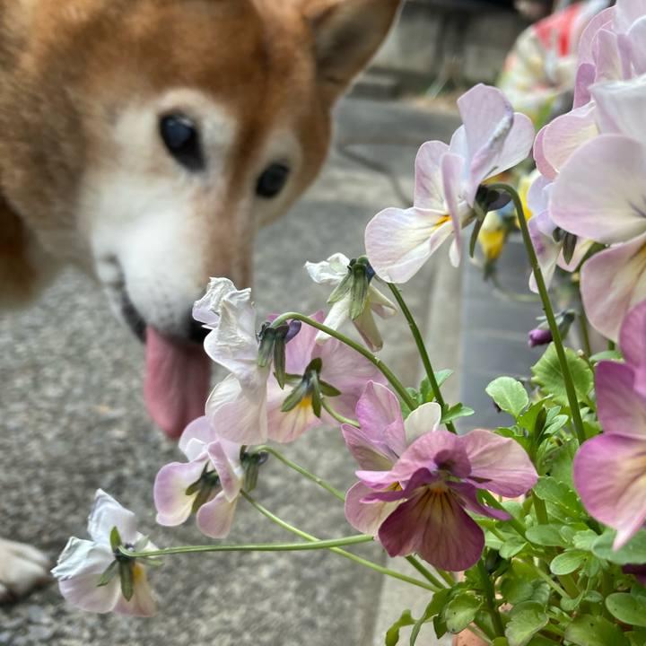 39391fa7 719e 46fe b270 07442d3f0e5b 1709807178116