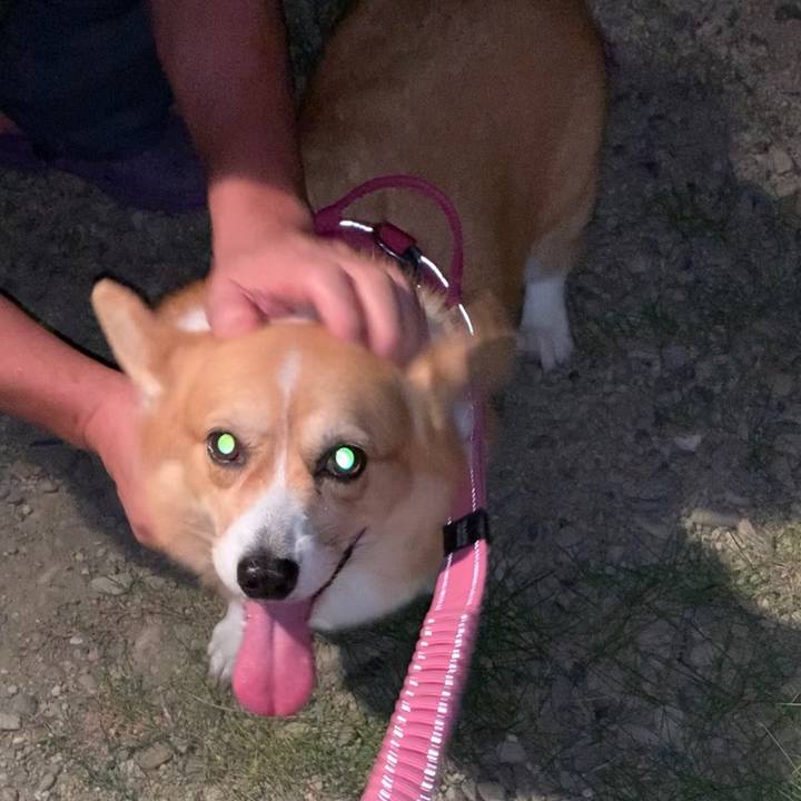 39393d47 9058 49d8 b82b 5a912d4528e0 1663324413955