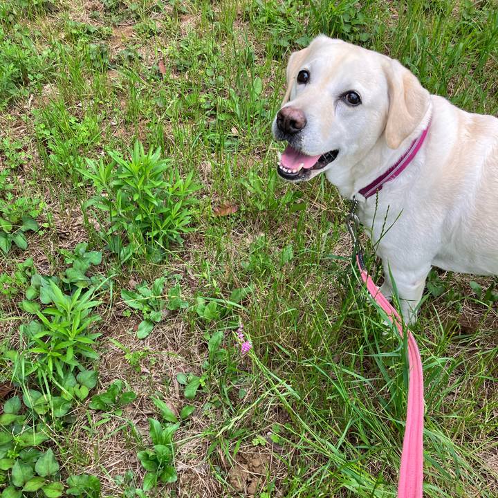 39394e4f 7036 4cfe 9a3f 13b1b8e7859c 1687220381935