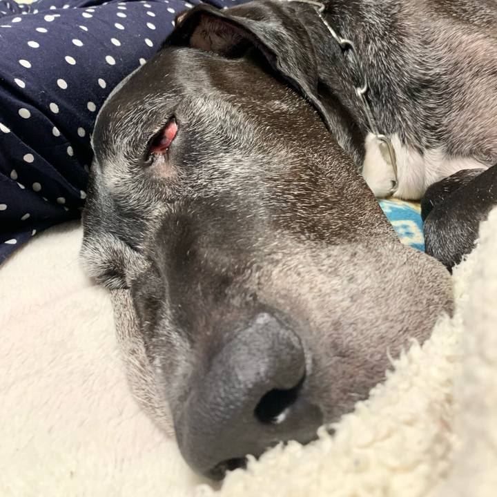 3939b422 4cdc 49d9 b32f 76949d4dbc09 1603628183819