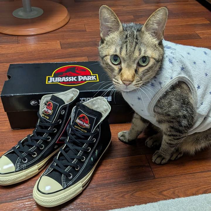 3939c69a a875 4247 918d f83073828bb9 1757066352369