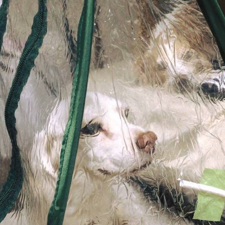 3939ecf6 e2e5 4863 aaab 11c095b39f1e 1599320156878