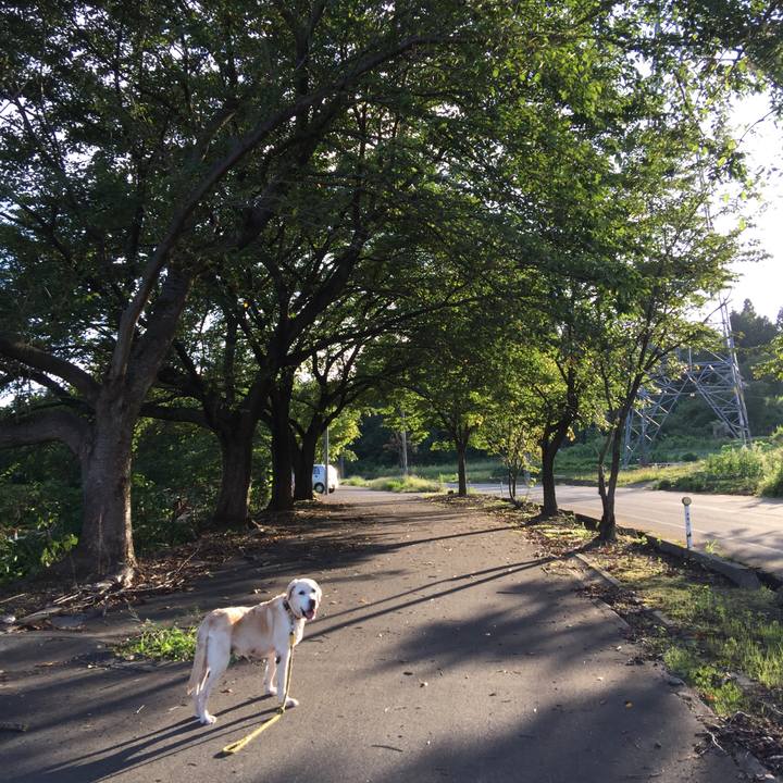 393a1258 93c5 4b07 a085 e96045fccbab 1537345664549