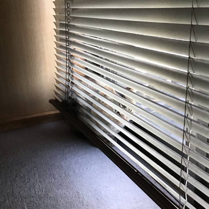 393a1915 bca6 4a56 8611 fb9fd6ab11c9 1578178658495