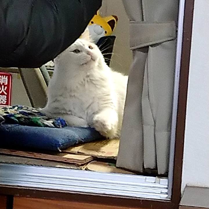 393a1985 eb1f 45ea acd8 75c6643fd7d5 1548023341730