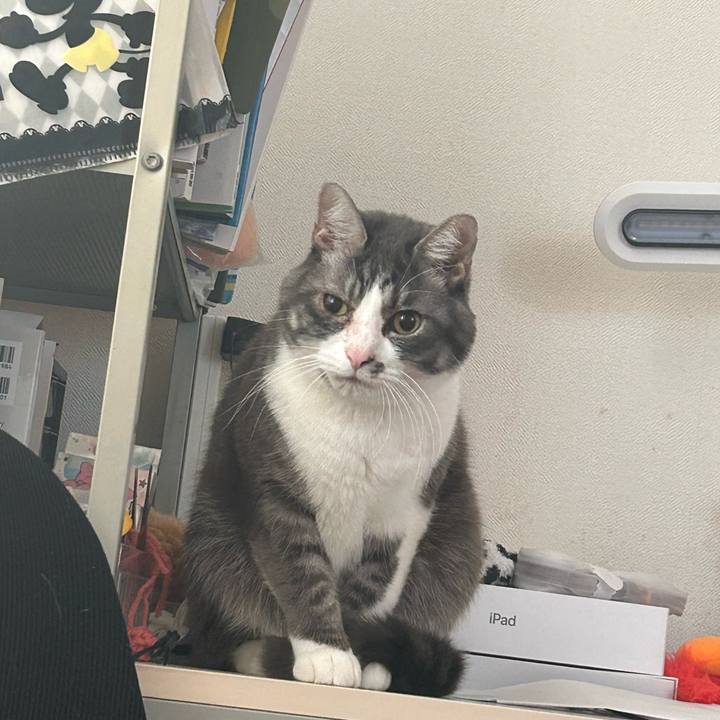 393a1b09 387d 4ebd 9808 3c5c97cbe485 1770856120795