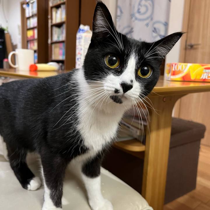 393a34e4 3567 483e a122 19ea29cb0c95 1637539611838