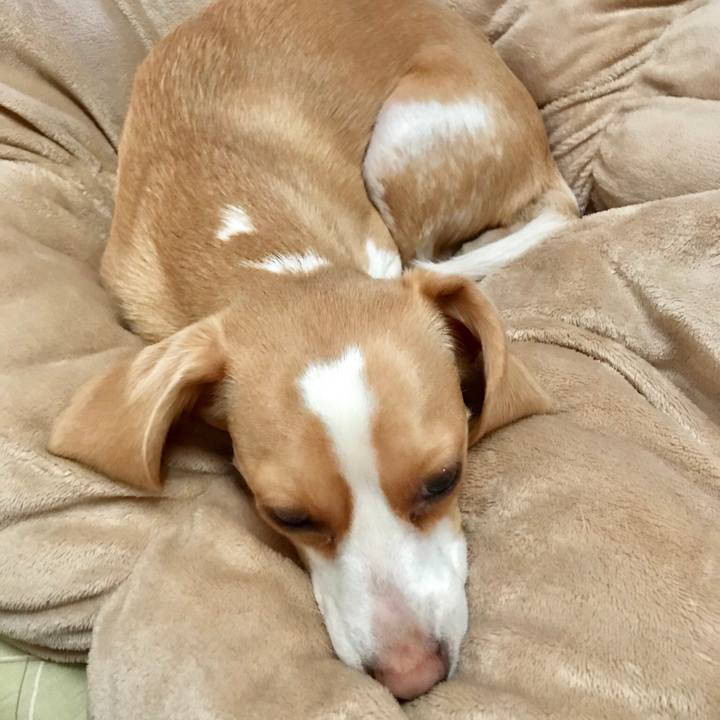 393a37d4 a202 4b38 abe0 7e324cd1eed8 1519087818302