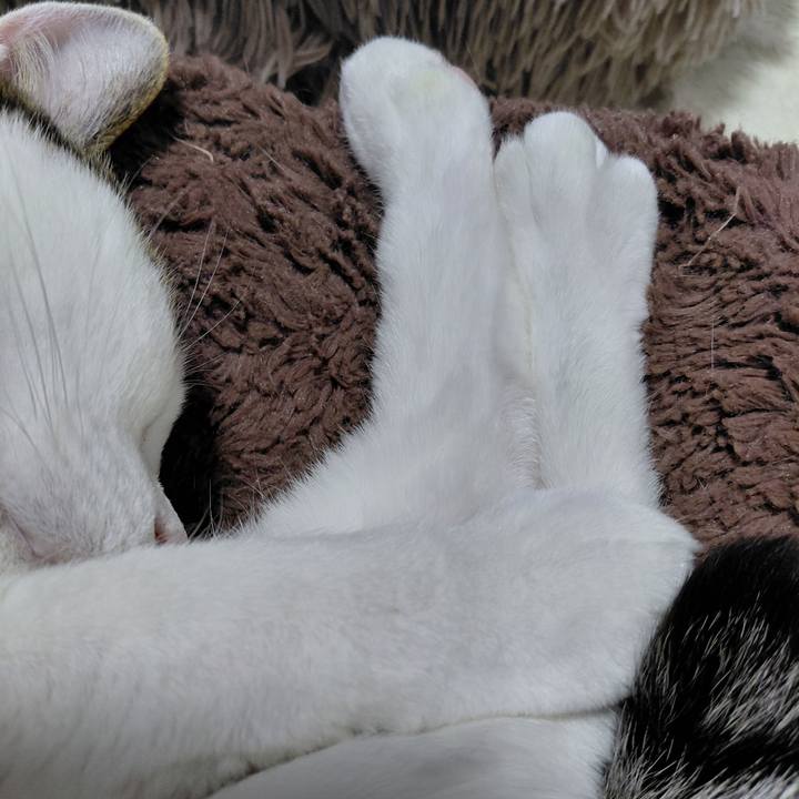 393a52fb 0753 4893 b0ab a1c3b834c43f 1773312860411