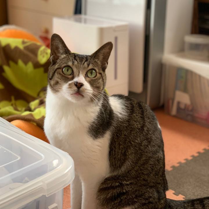 393a6876 5542 4948 aba3 69971b4e7859 1577149783450