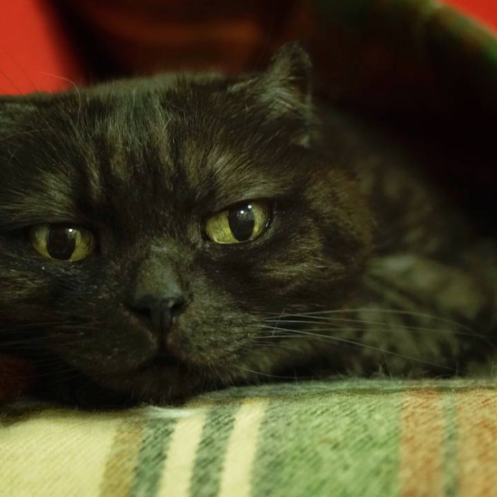 393a78db 8dd5 4cc5 9d4c caf823f56a8b 1560258344451