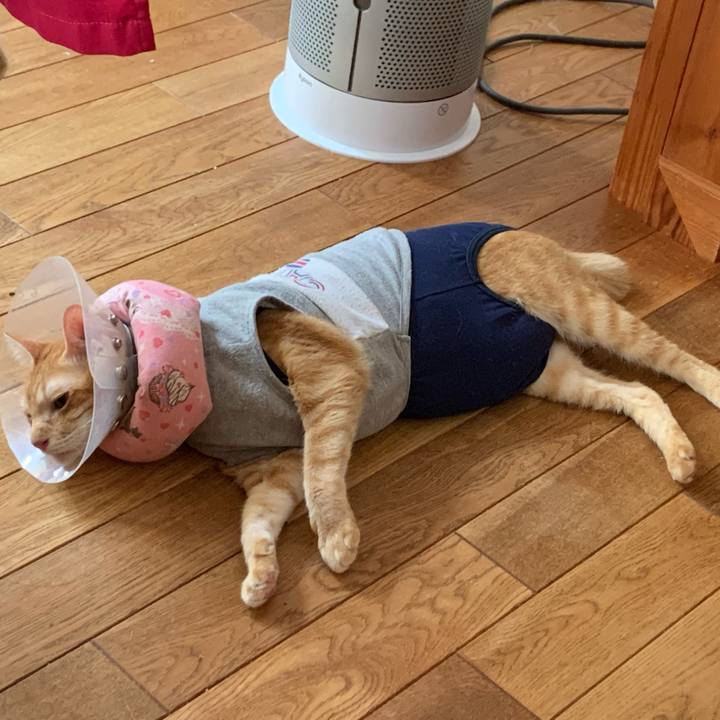 393a7d49 5cce 494e 9646 05eb94952912 1629259092639