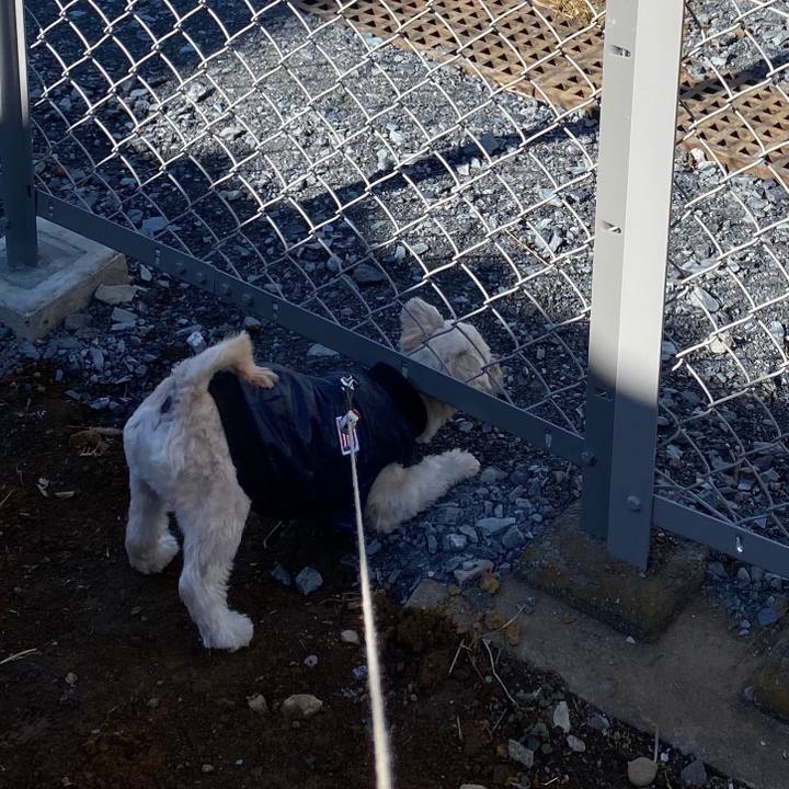 393a8097 6241 4b95 b8b7 78d4ca441073 1578650783186