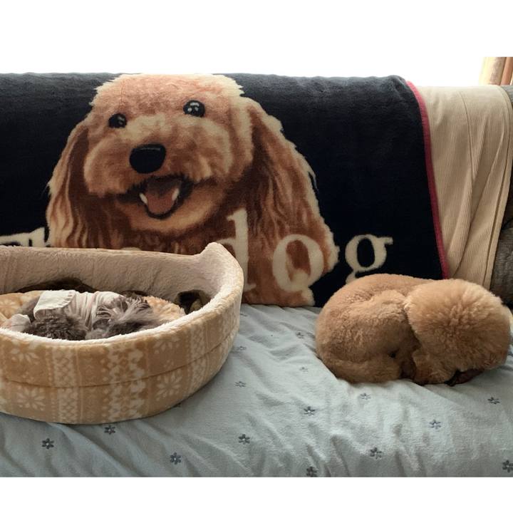 393ac13e 9d41 44ff 83d4 ad0312db1a13 1574904007289