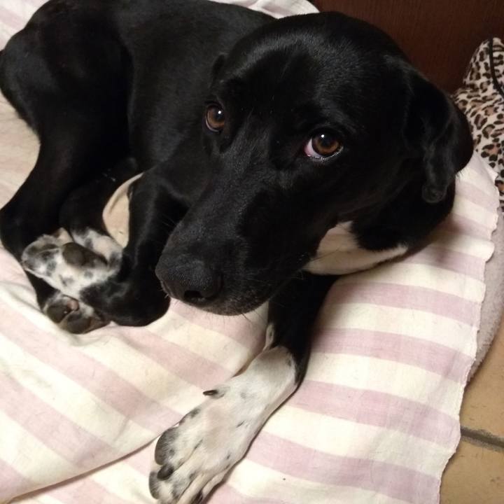 393ac7c5 5626 4ca1 8cb3 521faa38779b 1592315627655